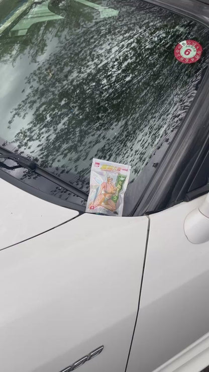 4/20 Edition Hologram Baggys ShitBox and Go